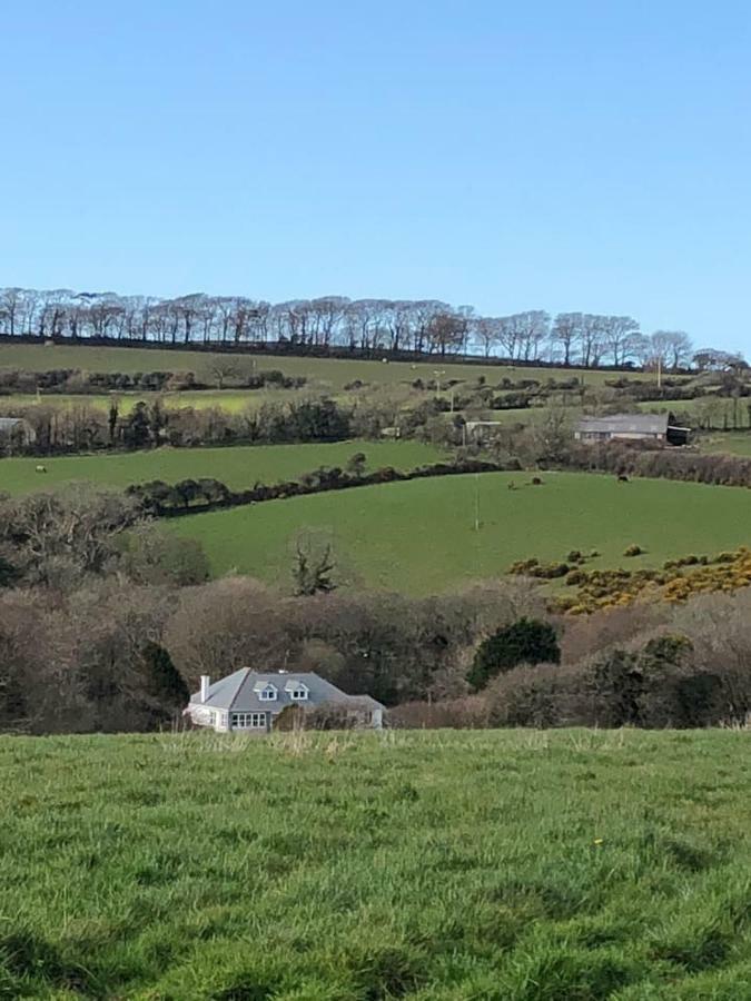 The Annexe, Tregoose House Lägenhet New Quay Exteriör bild